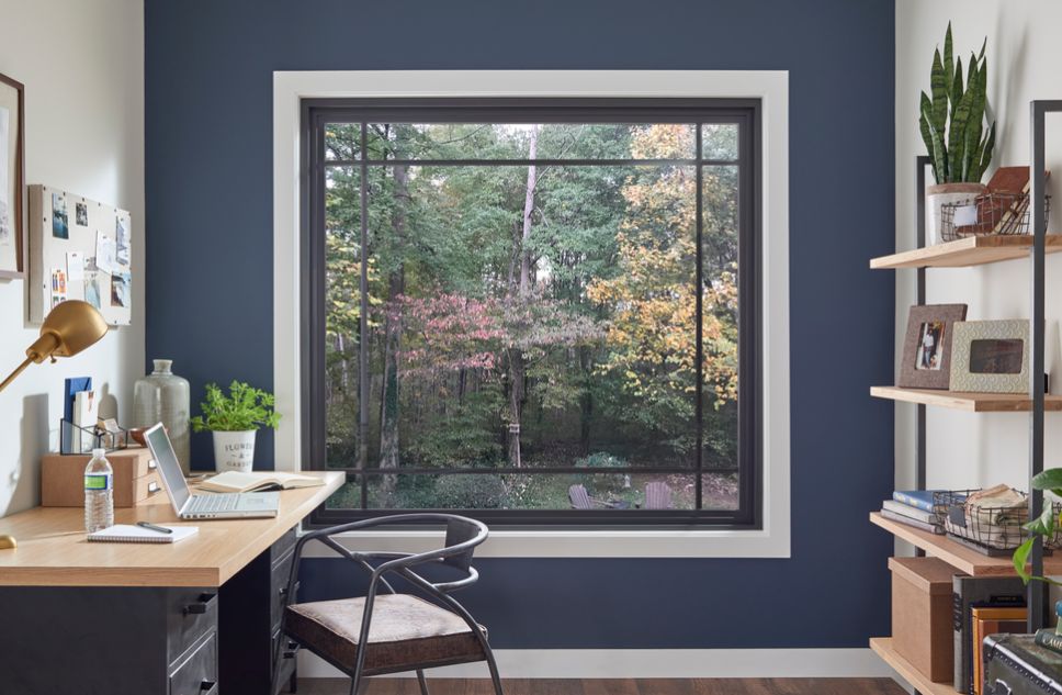 Are Your Windows Causing Indoor Humidity Problems in DC?