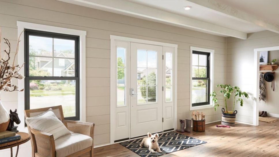 Child-Safe Window Options for Families in Washington, DC